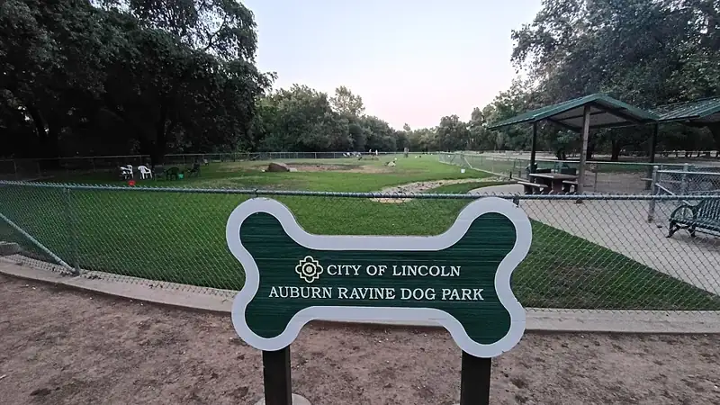 Photo of Auburn Ravine Dog Park