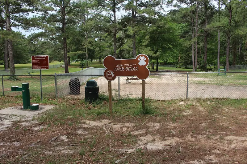 Photo of None