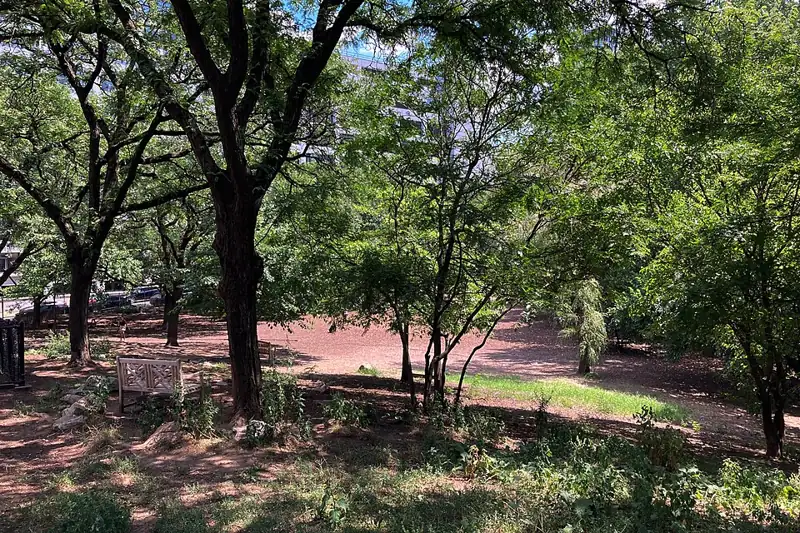 Photo of Hillside Dog Park